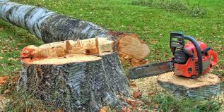 Best Firewood Processing and Delivery  in Linda, CA