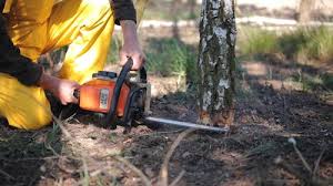 Landscape Design and Installation in Linda, CA