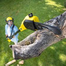 Best Artificial Turf Installation  in Linda, CA