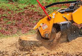 Best Fruit Tree Pruning  in Linda, CA