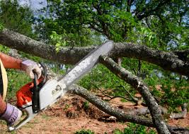 Best Lawn Pest Prevention  in Linda, CA